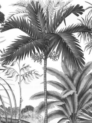 Jarawa Noir et Blanc