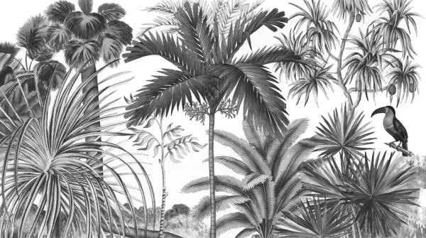 Jarawa Noir et Blanc