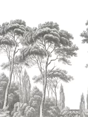Pins et cyprès Grisaille