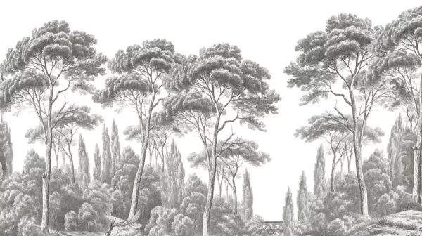 Pins et cyprès Grisaille