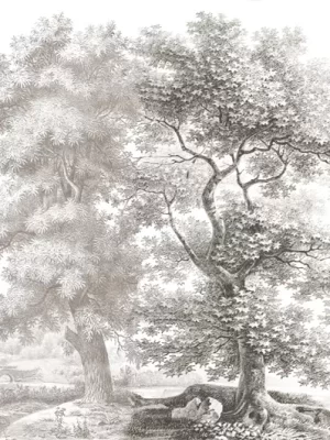 Sous-bois Grisaille