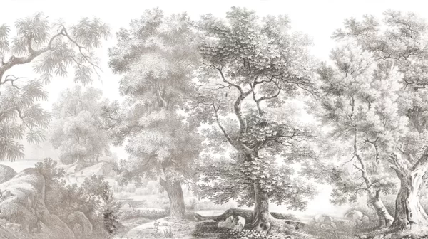 Sous-bois Grisaille
