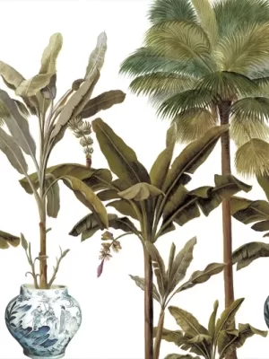 Le jardin de la Baie d'halong Couleur